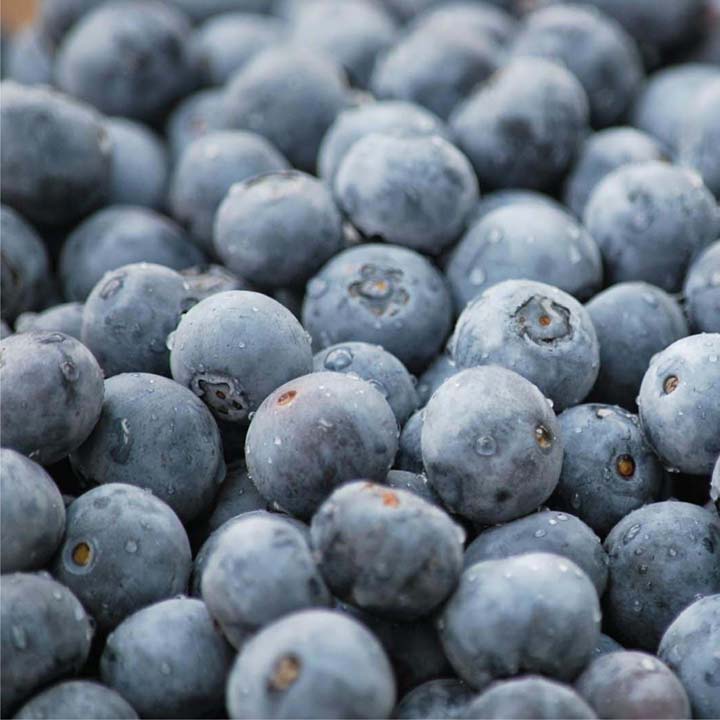 Blueberry Frozen (1 kg)